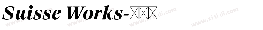 Suisse Works字体转换